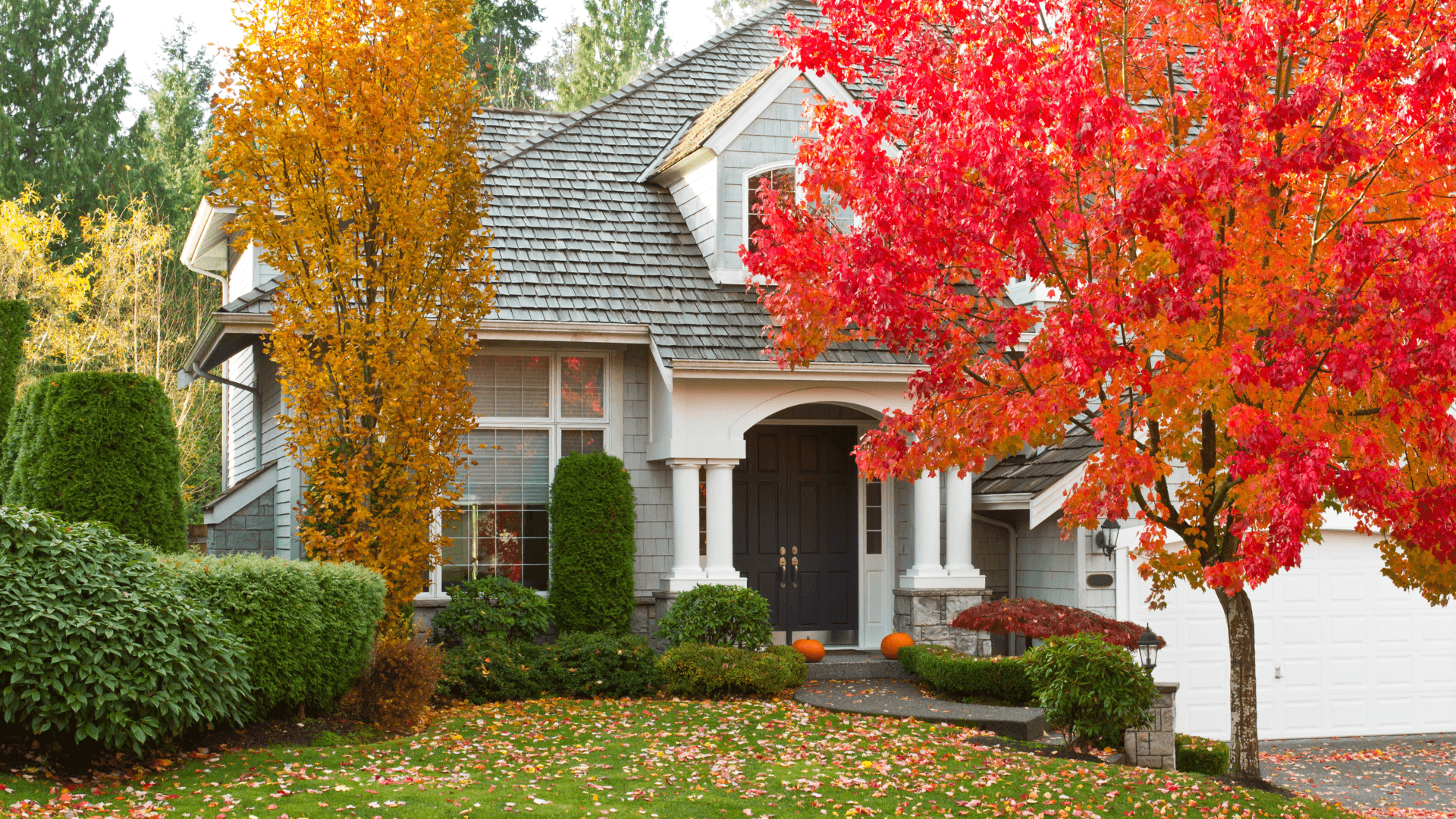 massachusetts home in fall with changed leaves