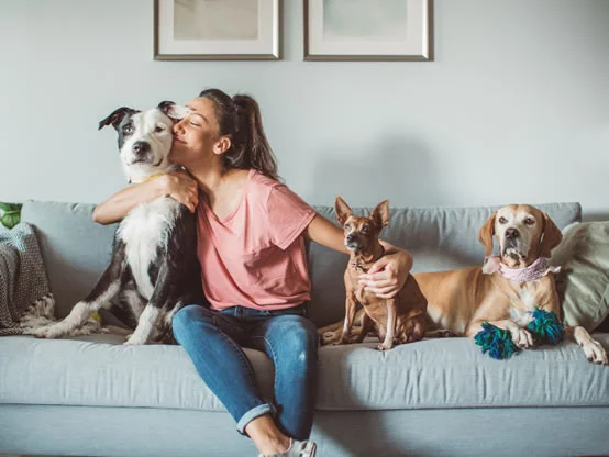 Air Purification image