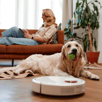 Air Purification image