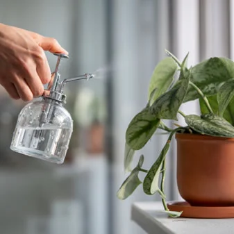 Indoor Air Quality image