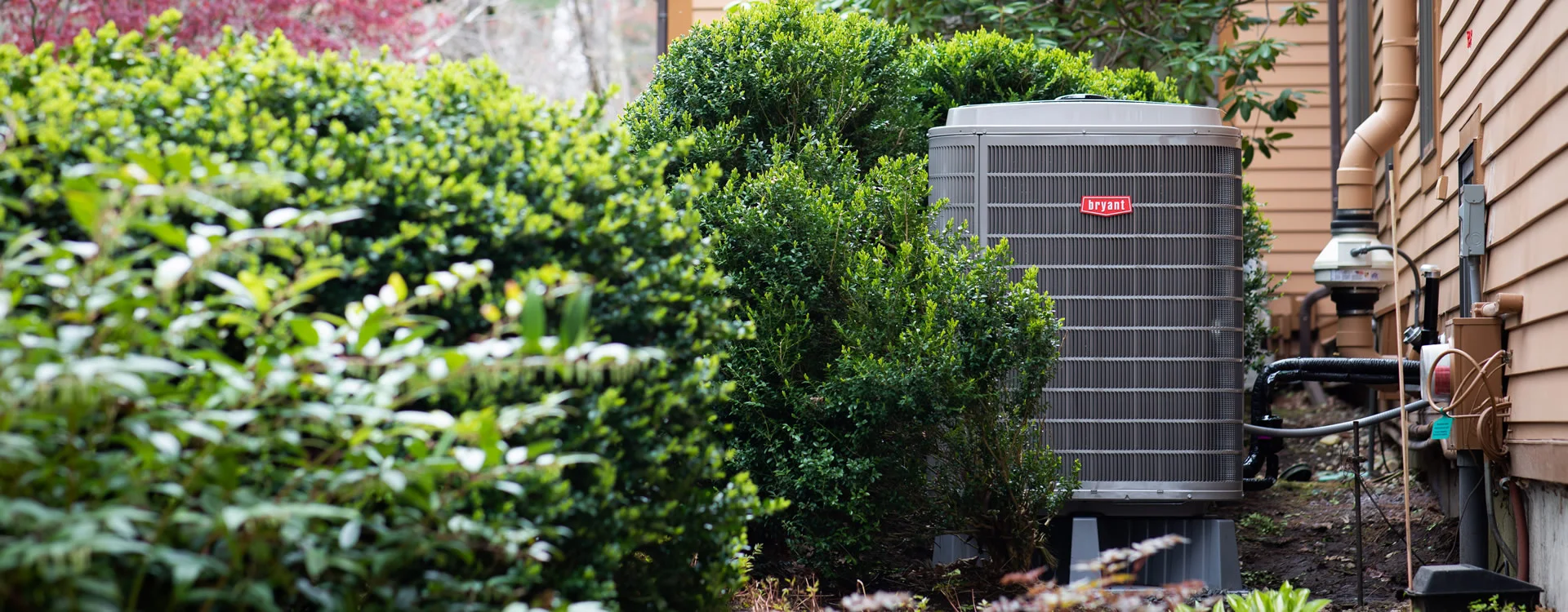 JayMoody-Bryant-Carlisle-Install-Garden image